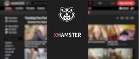 org xhamster|Pornoplattform : Die Männer hinter xHamster